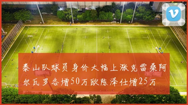 泰山队球员身价大幅上涨克雷桑阿尔瓦罗各增50万欧陈泽仕增25万