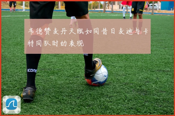 韦德赞麦丹天赋如同昔日麦迪与卡特同队时的表现